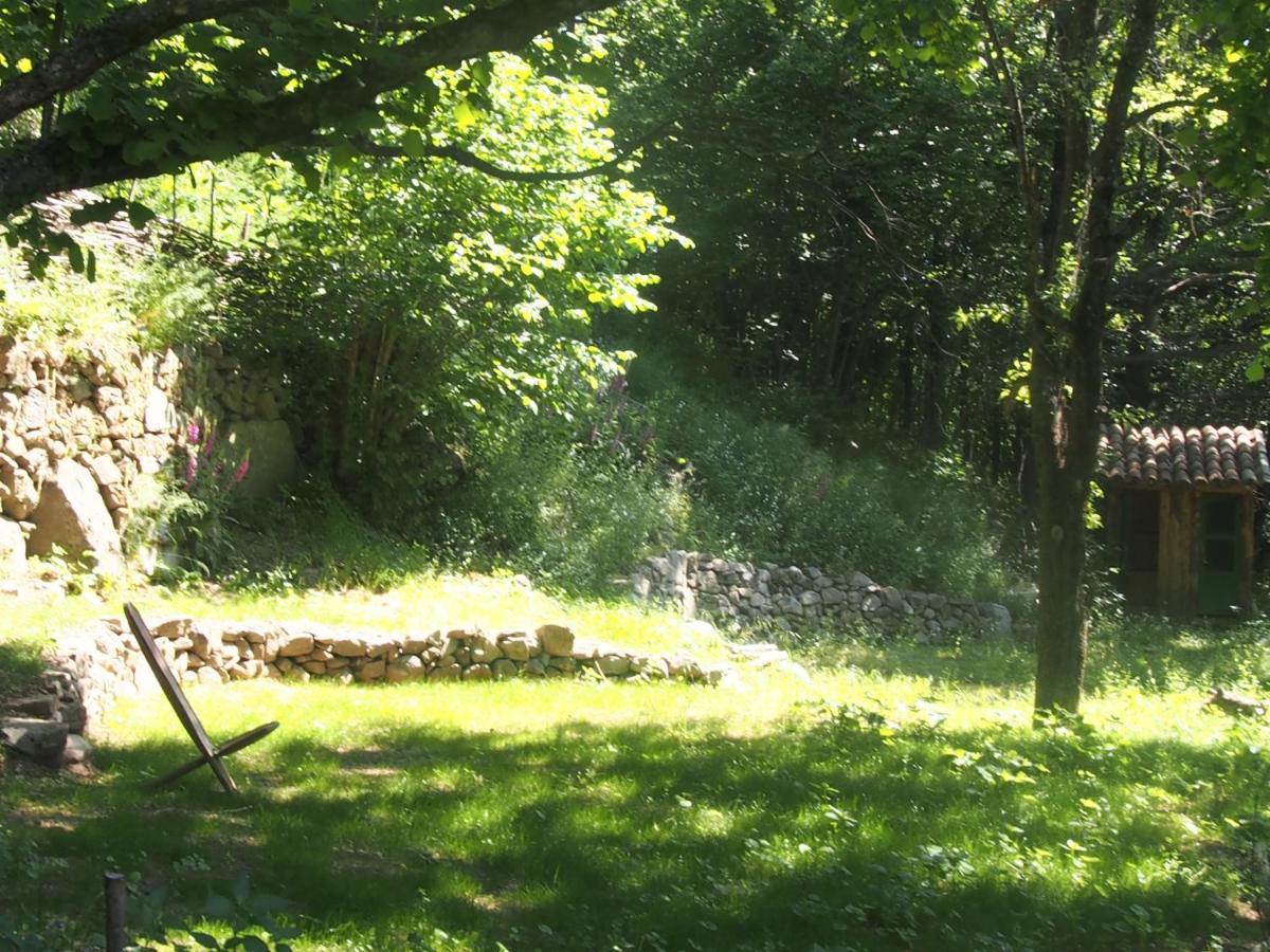 Grande Tente Tipi En Pleine Foret Burzet ภายนอก รูปภาพ