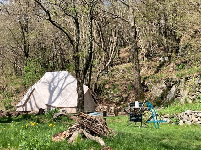 Grande Tente Tipi En Pleine Foret Burzet ภายนอก รูปภาพ
